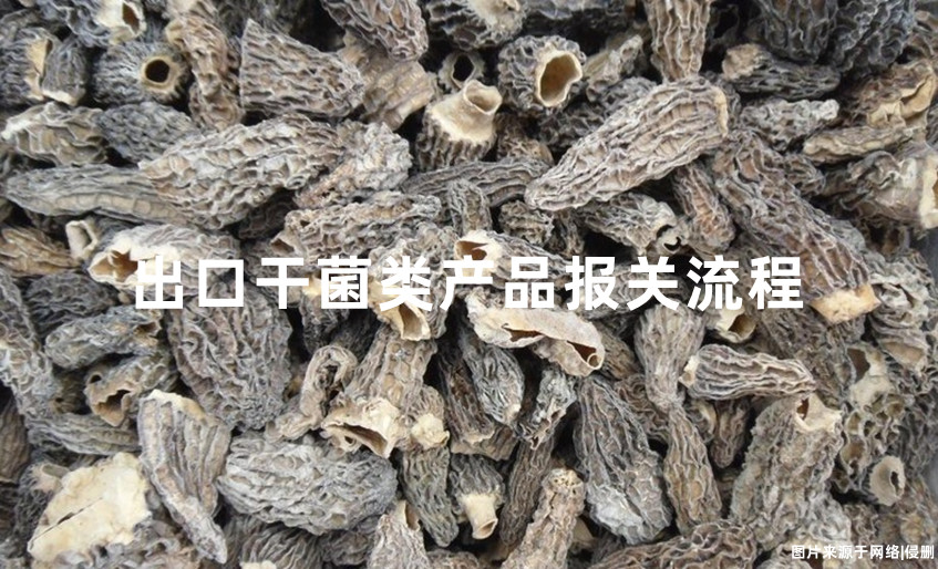 广州出口干菌类的产品到香港.jpg